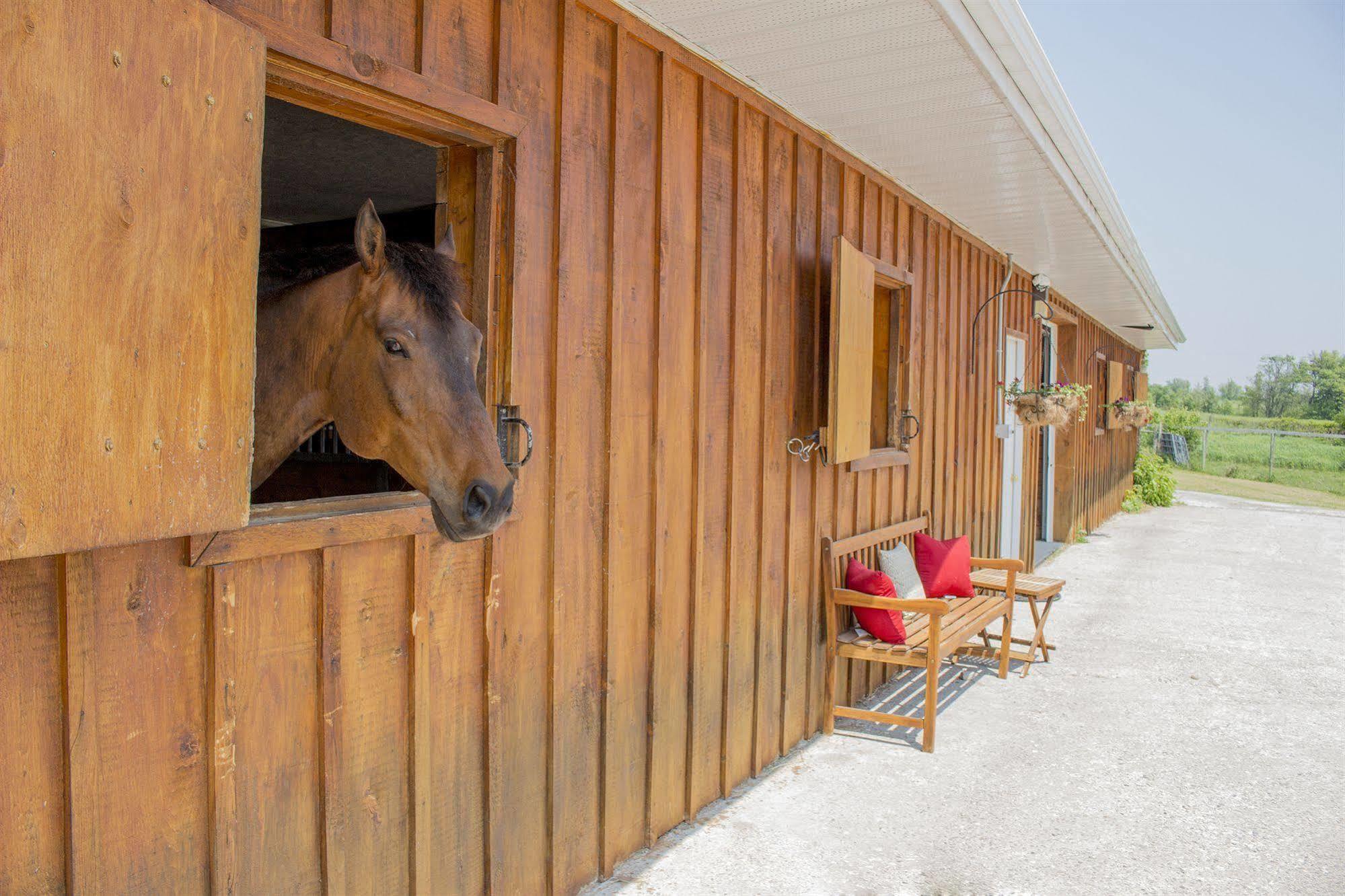 Ste. Anne'S Spa Grafton Zewnętrze zdjęcie